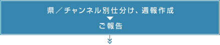 県／チャンネル別仕分け、週報作成